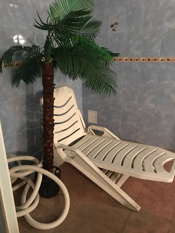 Фото Лесная