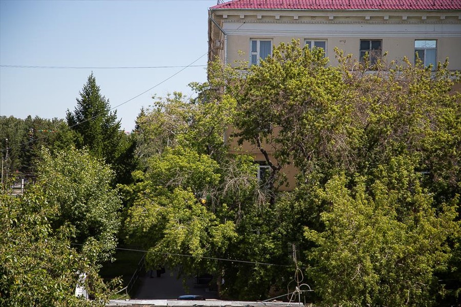 Фото отеля 5