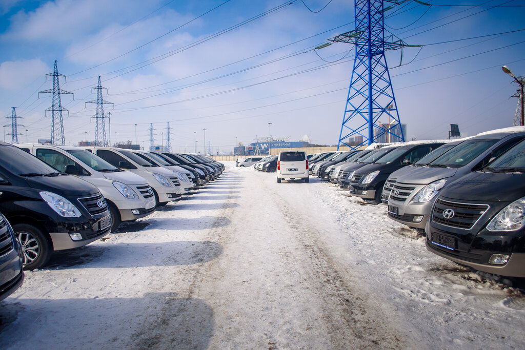 Car market Arena-auto, Moscow, photo