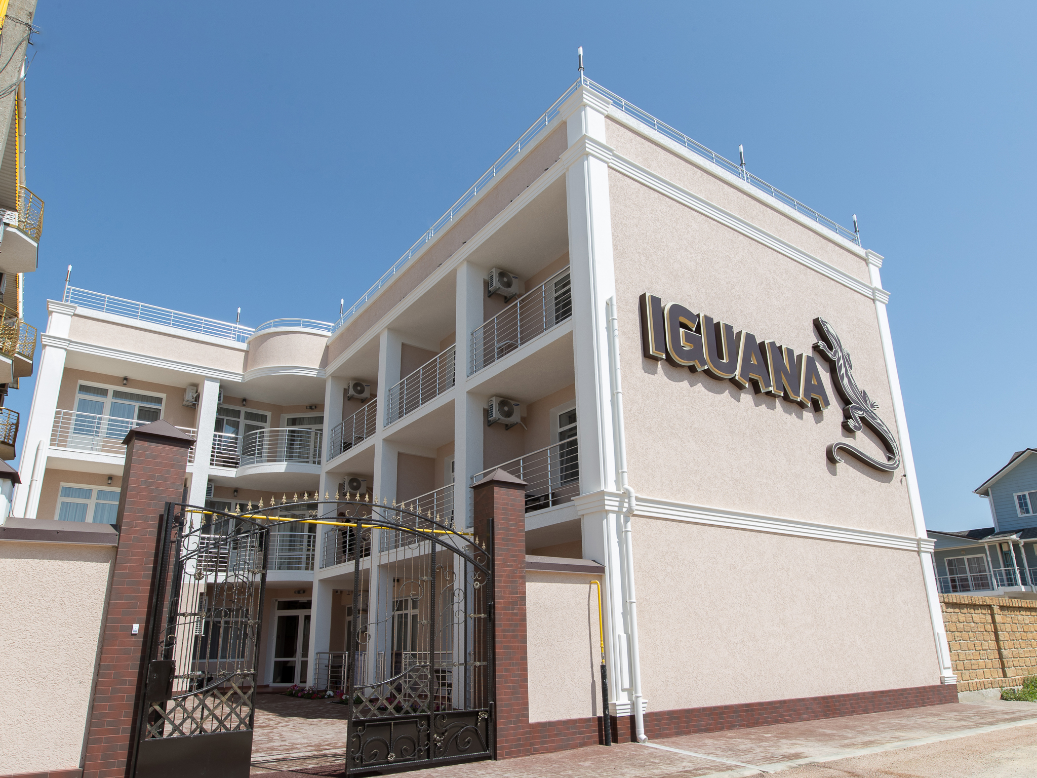 Фото Игуана