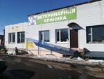 Ветеринарная клиника (Могилёв, Славгородское ш., 3А), ветеринарная клиника в Могилёве