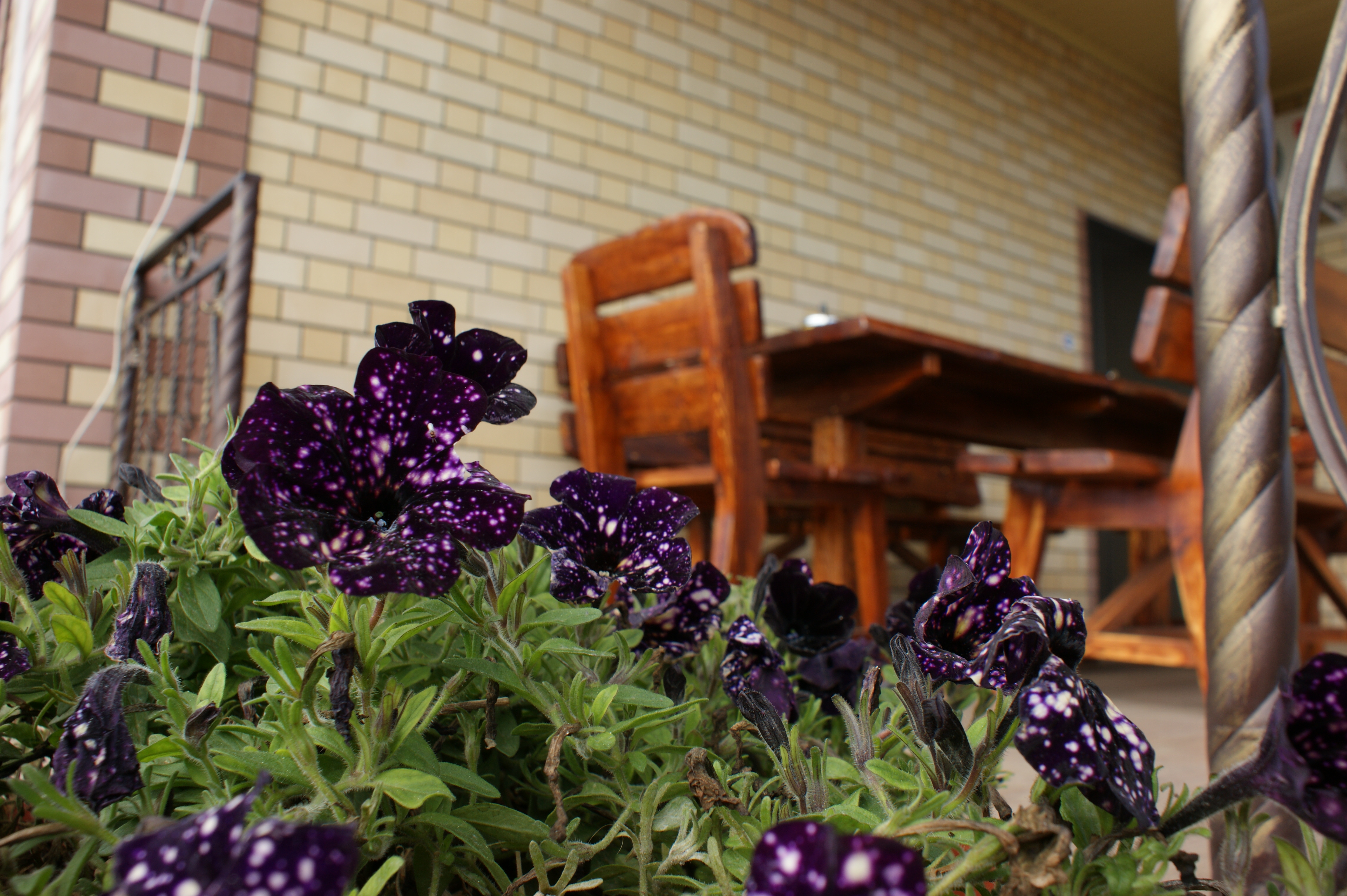 Фото Усадьба