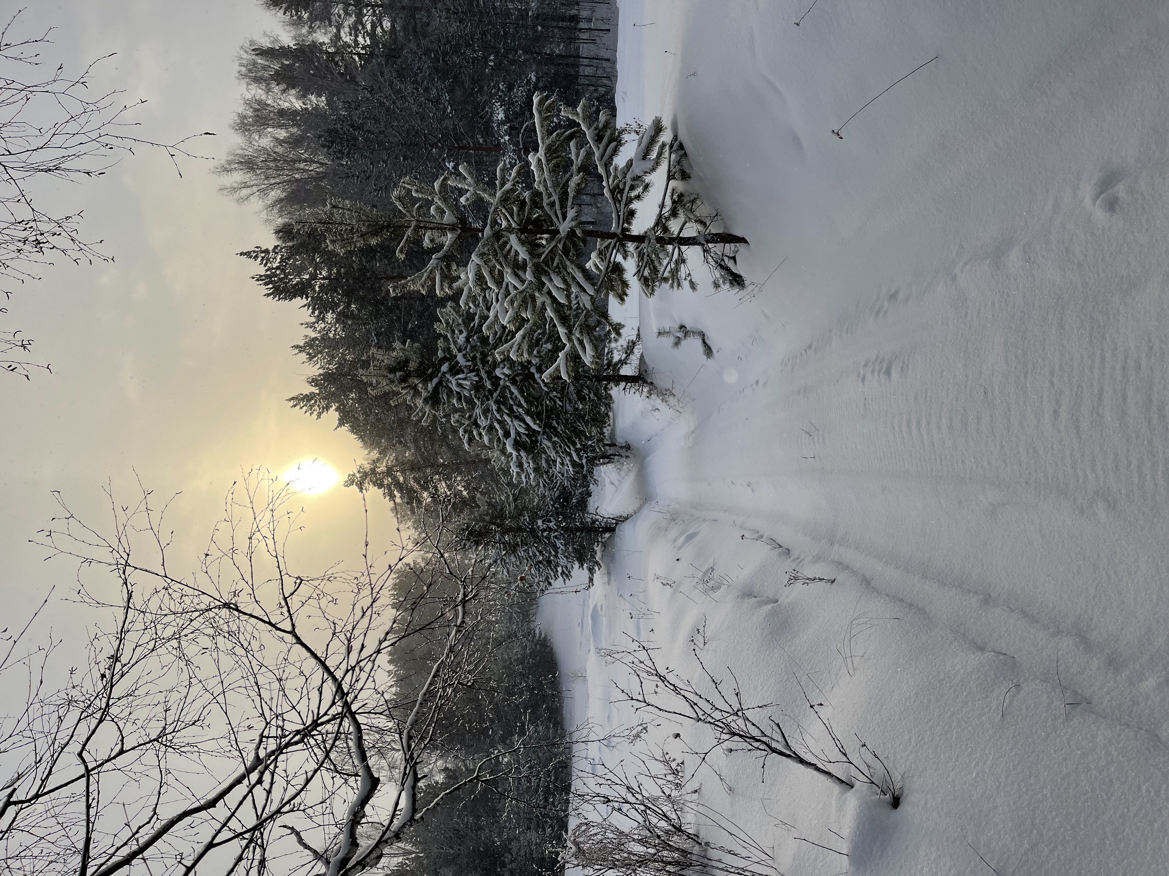 Фото УткульРФ