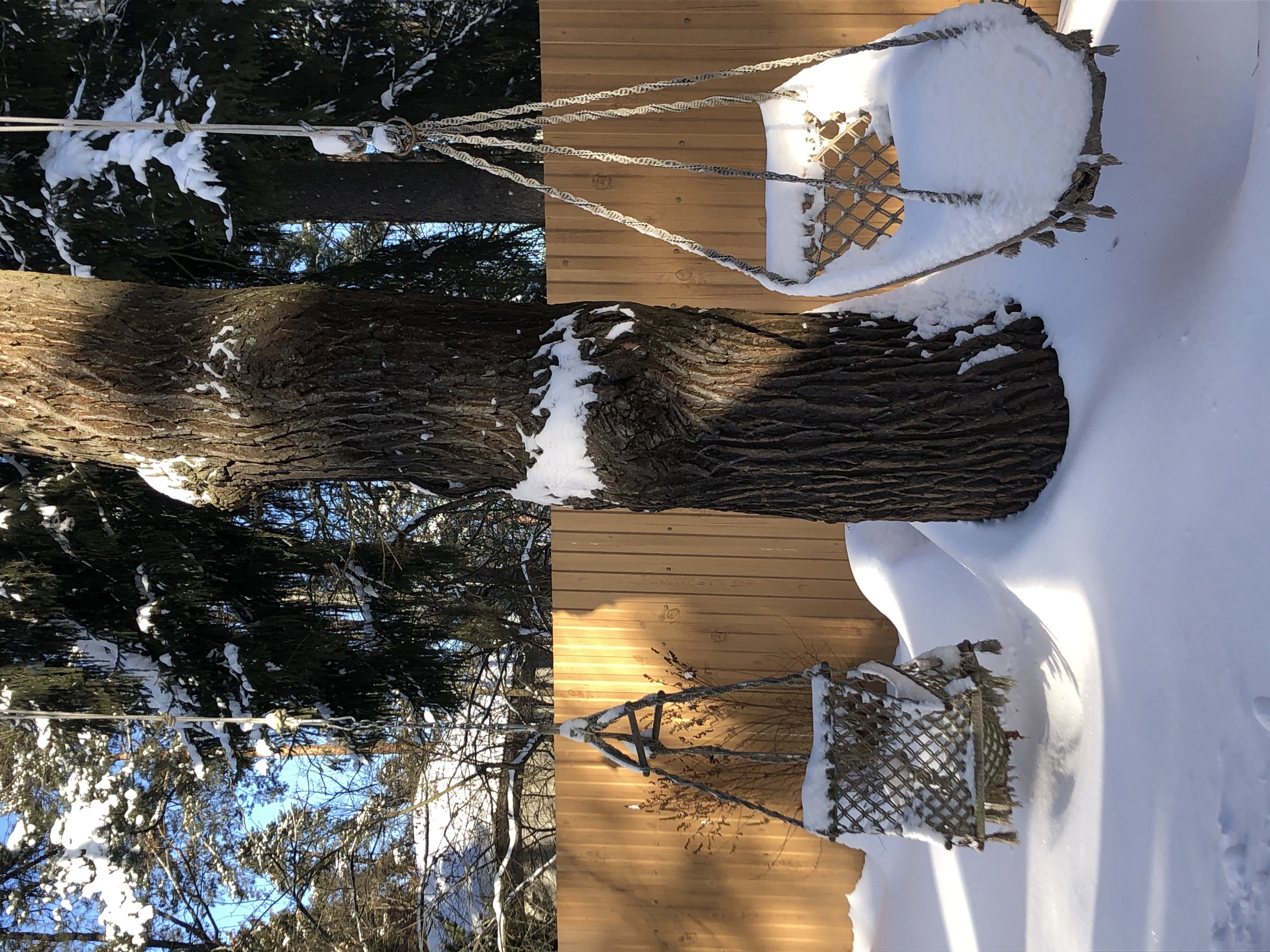 Фото Теремок