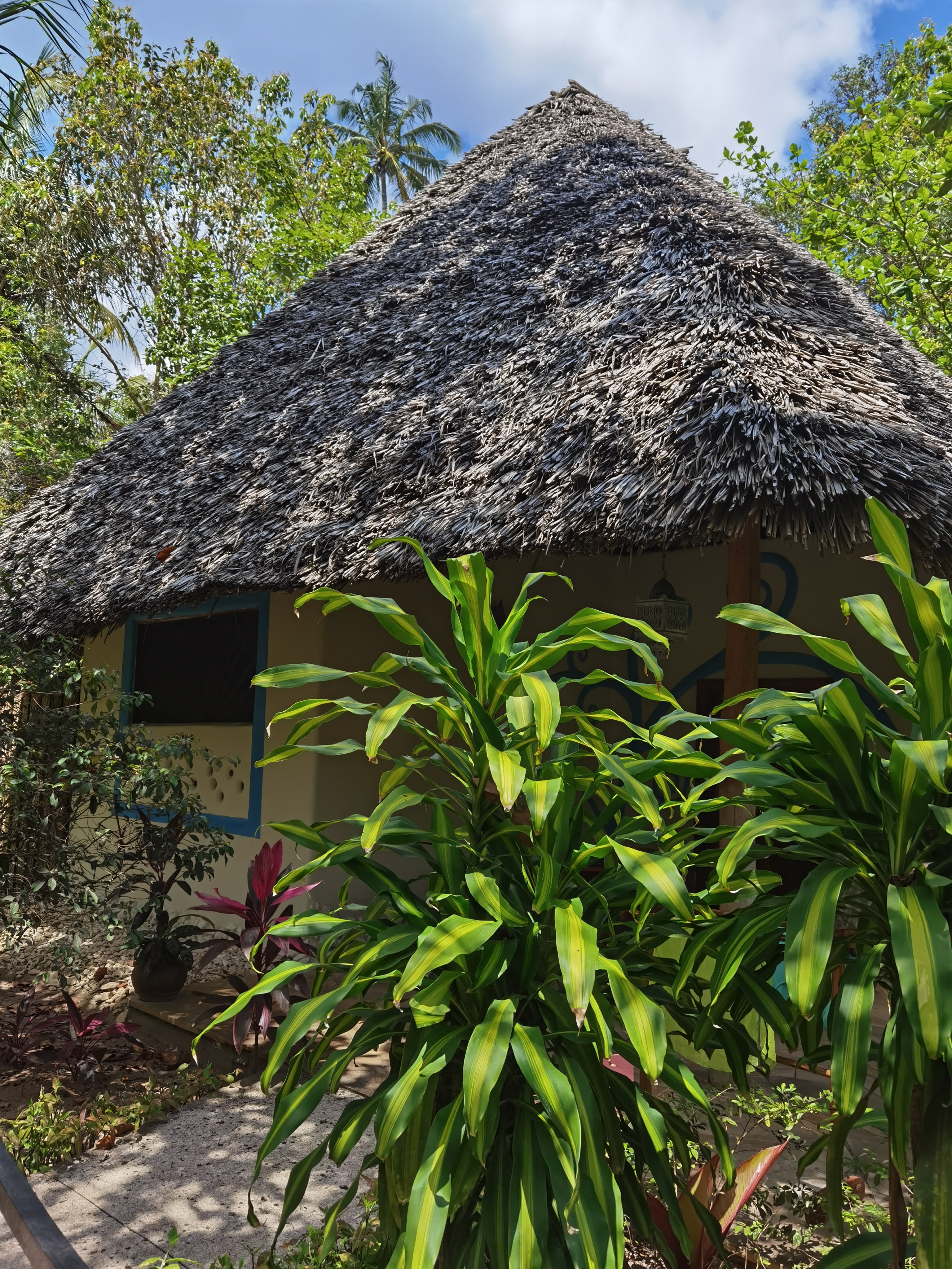 Фото Zanzi Resort