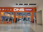 DNS (Россия, Архангельск, ул. Розинга, 10), компьютерный магазин в Архангельске