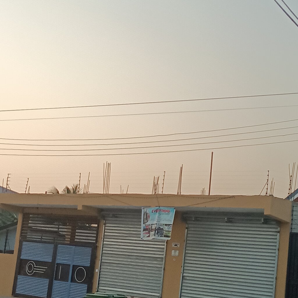 Disposable tableware Everything Disposable, Earth, photo