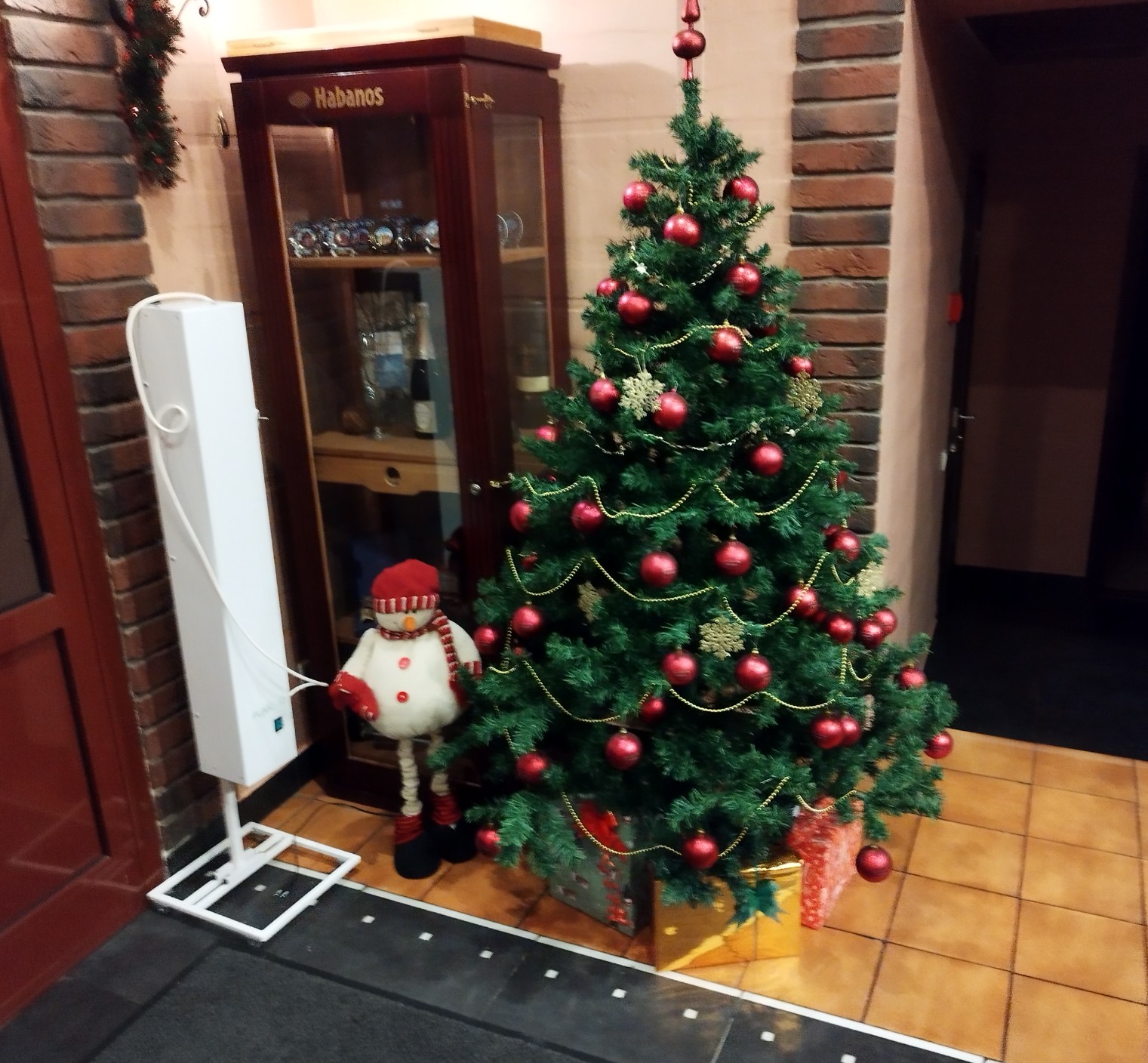 Фото Домино