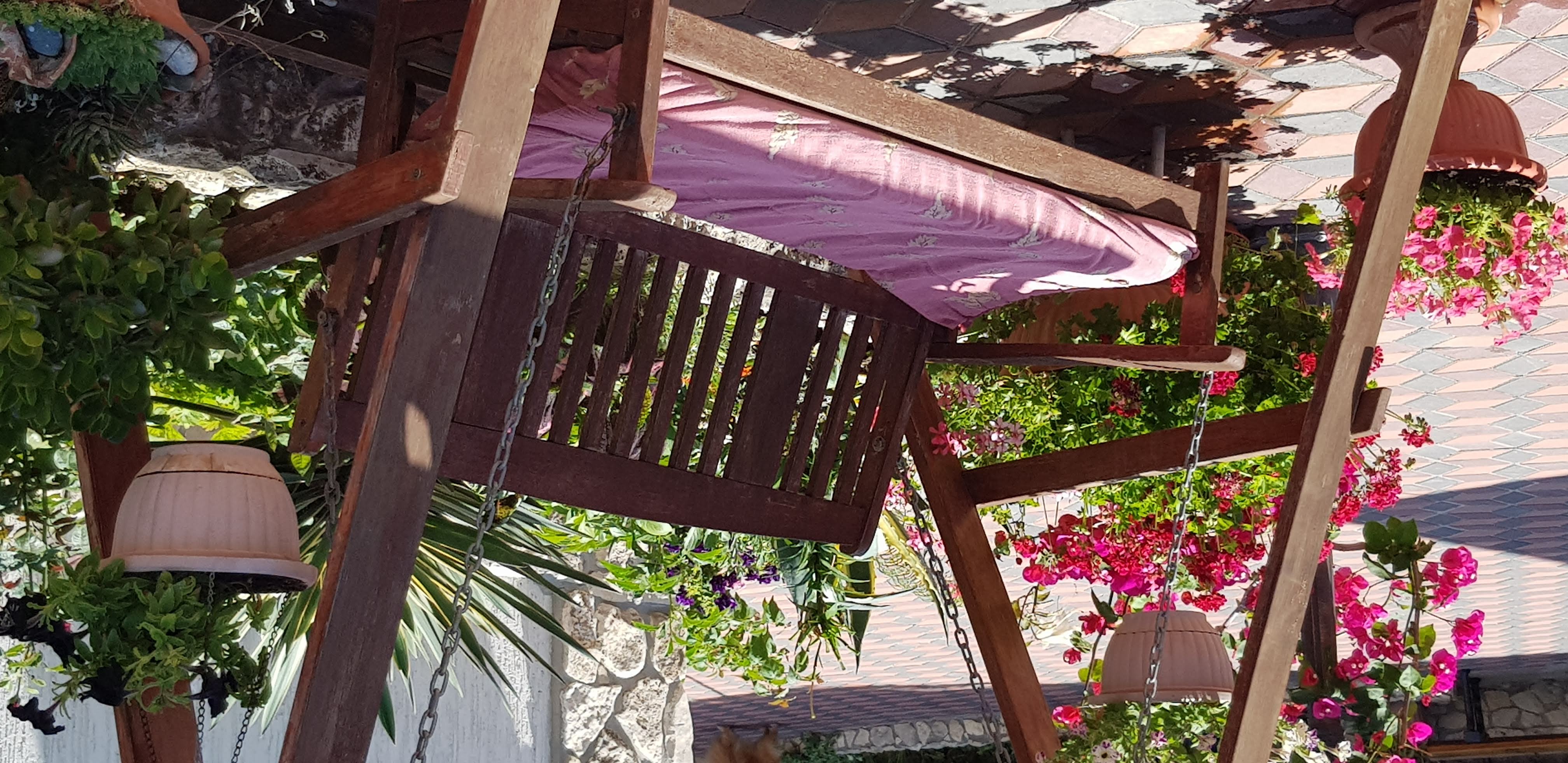 Фото Сапсан