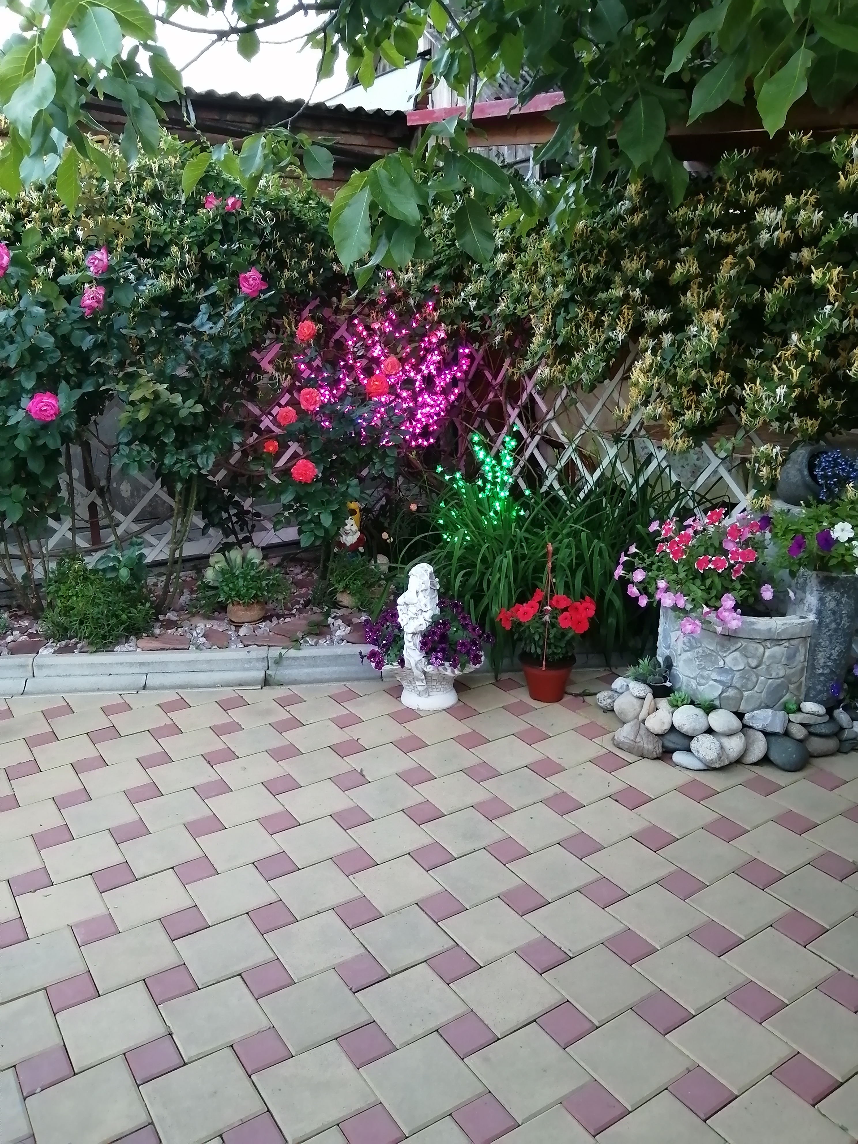 Фото Уютный дом