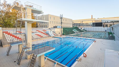 Қарт әйелдер жыныстық қатынасқа түседі