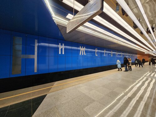 Нижегородская (Москва, Нижегородский переулок), станция метро в Москве