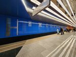 Nizhegorodskaya (Moscow, Nizhegorodsky Lane), metro station