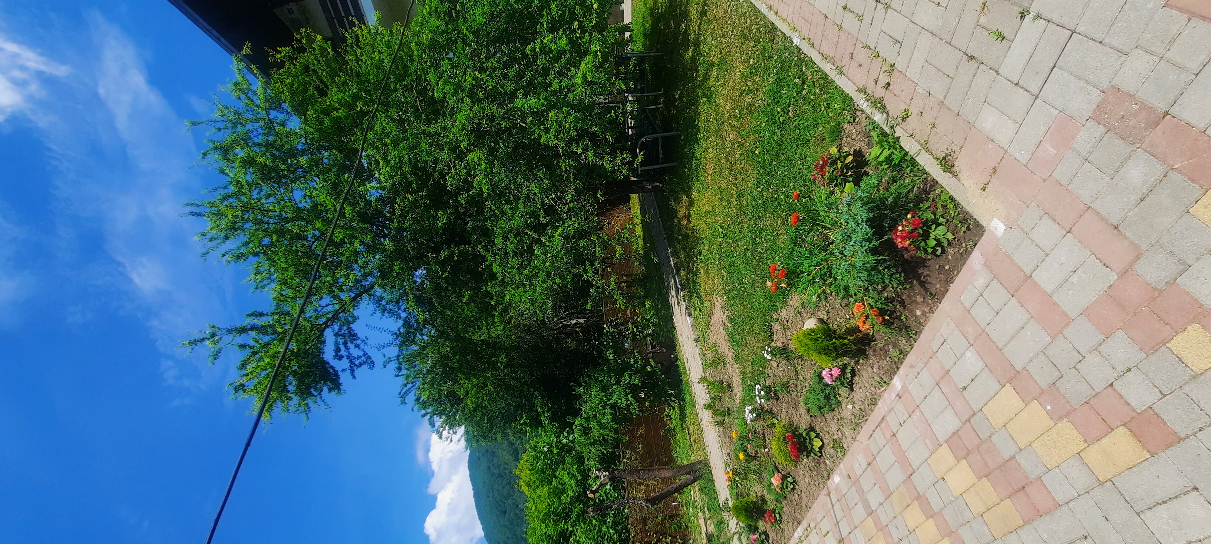 Фото Приют у реки