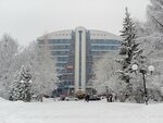 Бизнес-Плаза (Moskovskiy Avenue, 17с1), business center