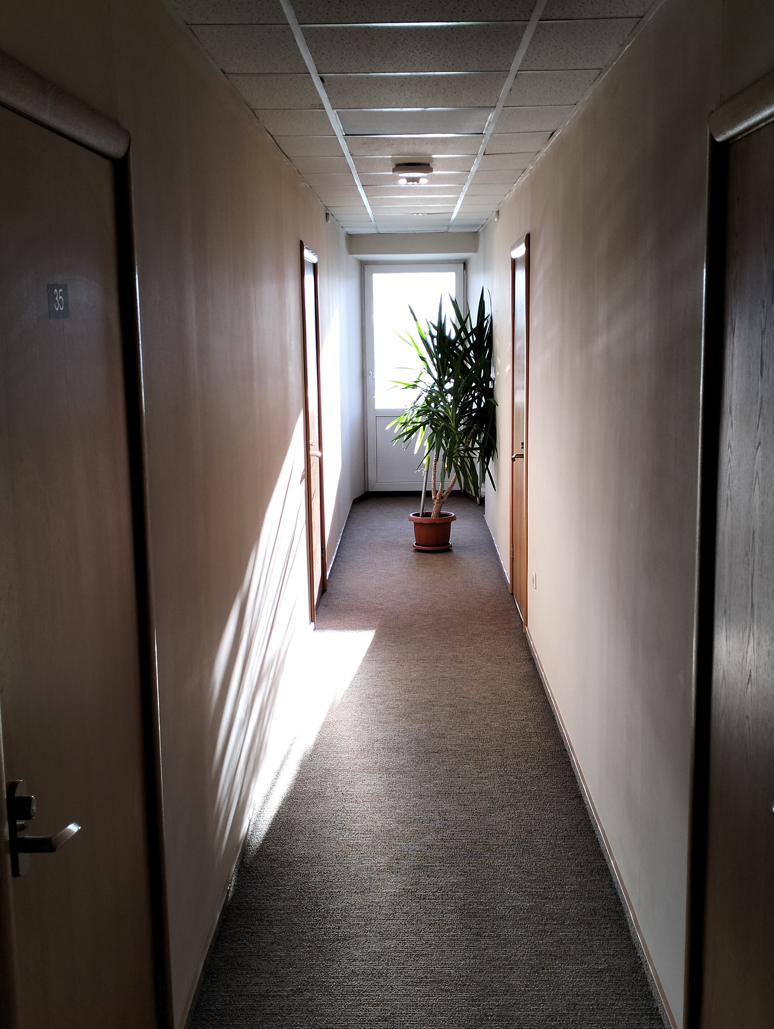 Фото Синегорье