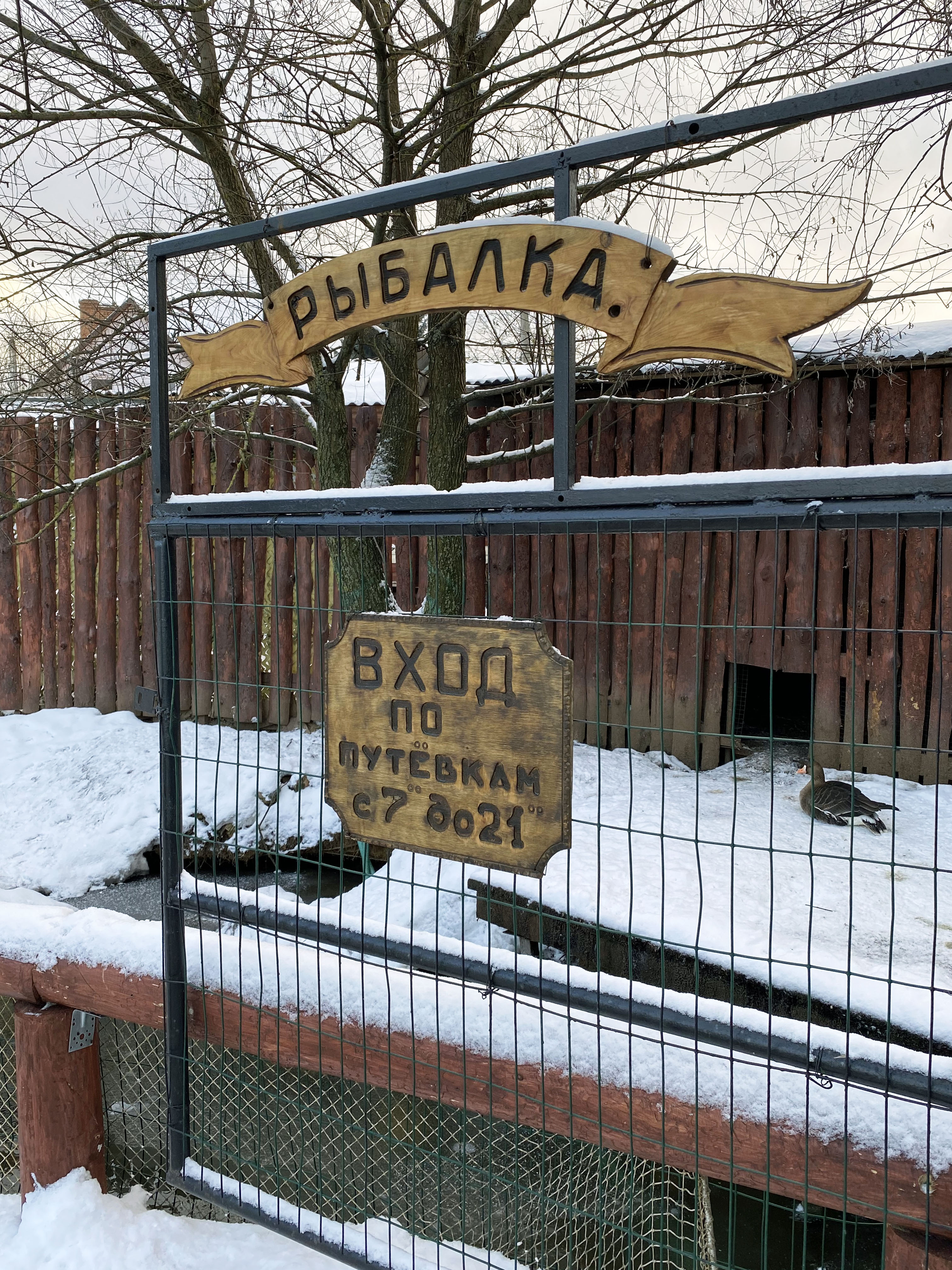 Фото Соколиное Гнездо