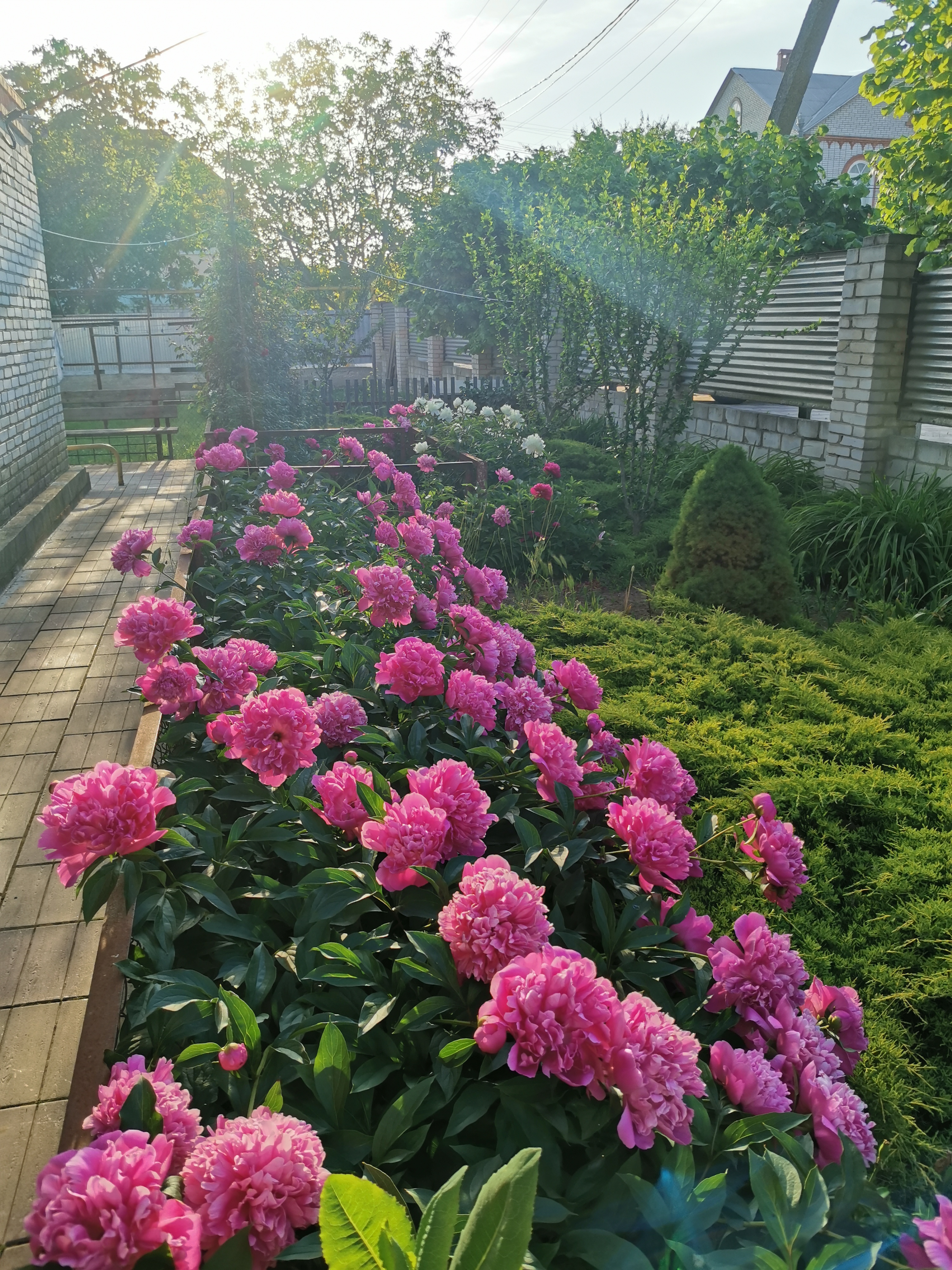 Фото Берег Благи