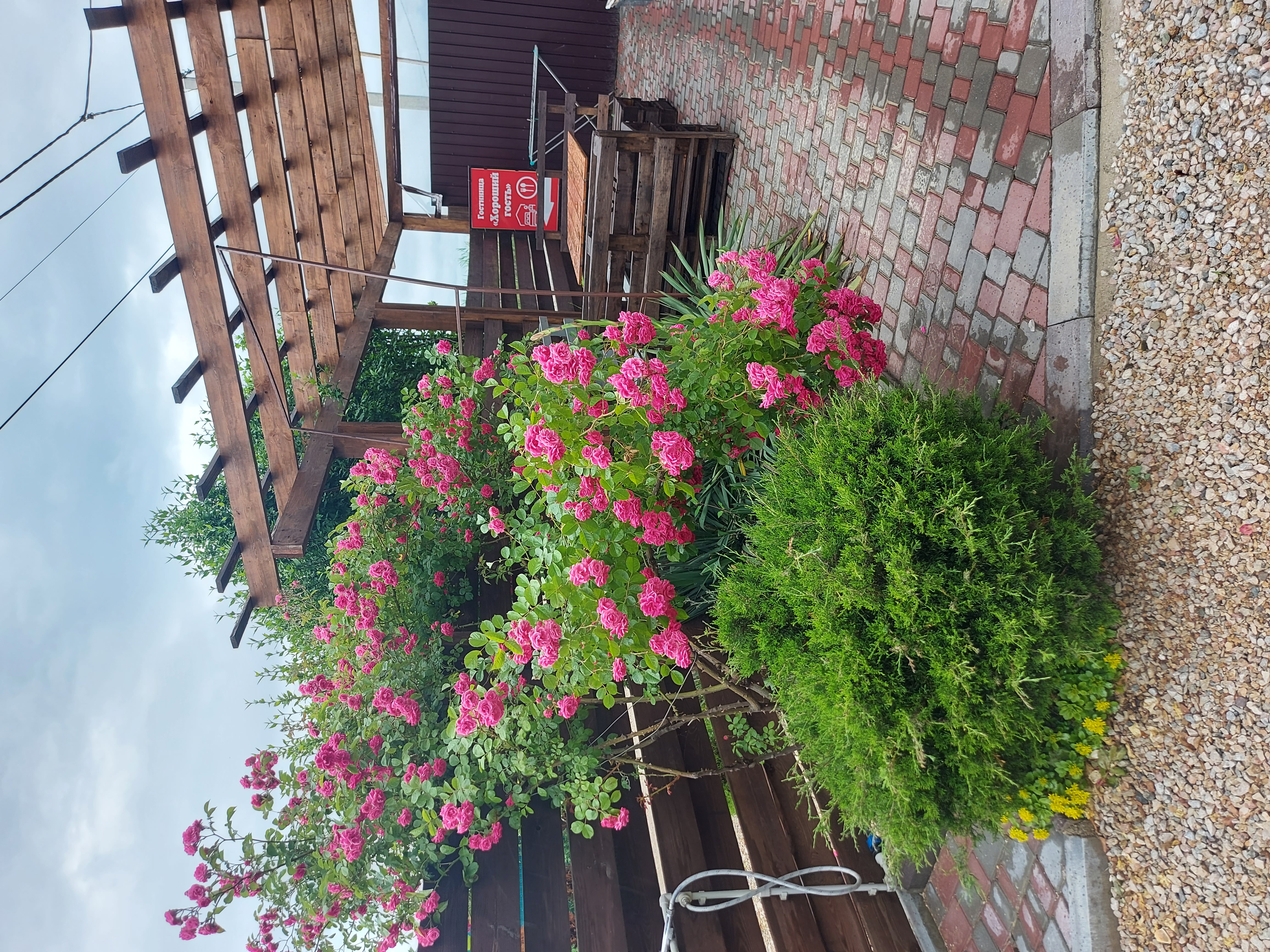 Фото Хороший гость