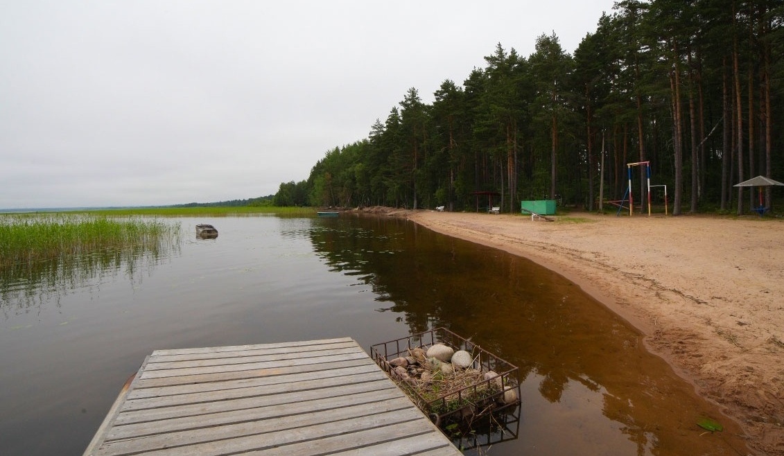 Фото Розовая дача