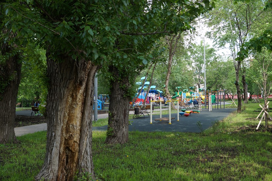 Фото Формула за рулем