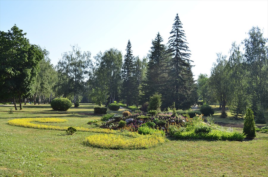 Фото Зеленая роща