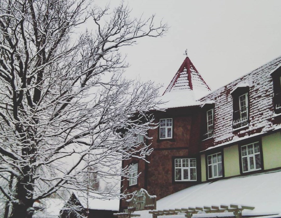 Фото Ближние Дубки