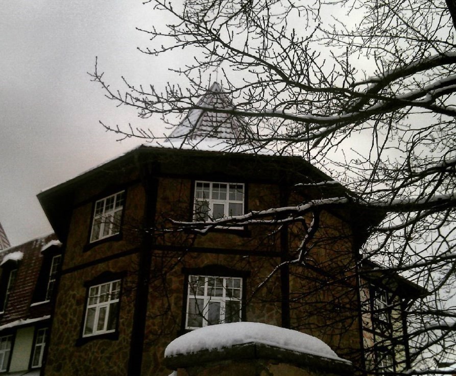 Фото Ближние Дубки