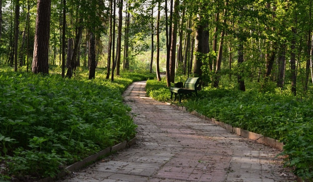 Фото Санаторий работников органов прокуратуры РФ Истра