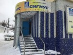 Сигнус (Sovetskaya ulitsa, 112), auto parts and auto goods store