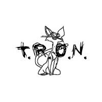 Software companies T. R. O. N., Moscow, photo