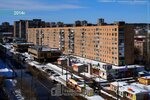 Areal Zootovary (Lizy Chaykinoy Street, 69Б) ، صيدلية بيطرية