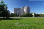 Фото 3 Мегарусс-Д
