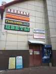 Piligrim (ulitsa Poligrafistov, 14А), travel agency