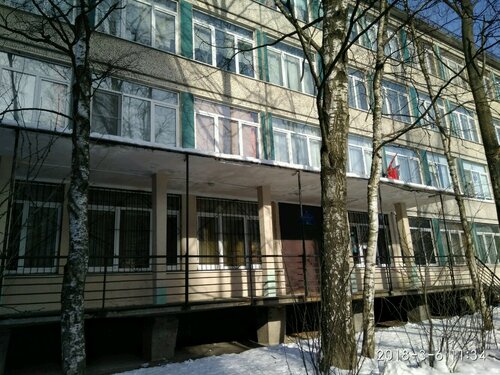 Грм гимназия спб