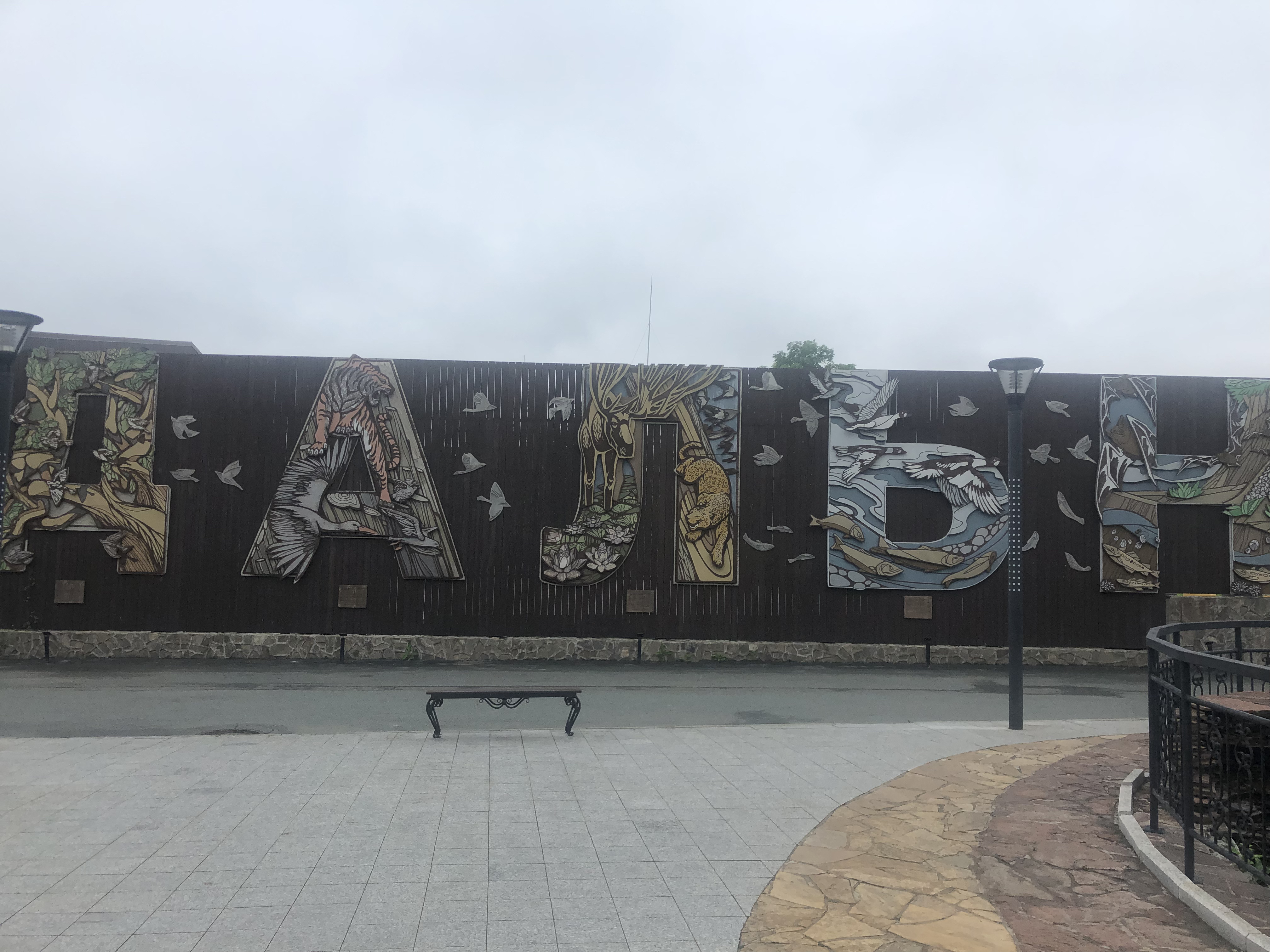 Фото Кедровый дом