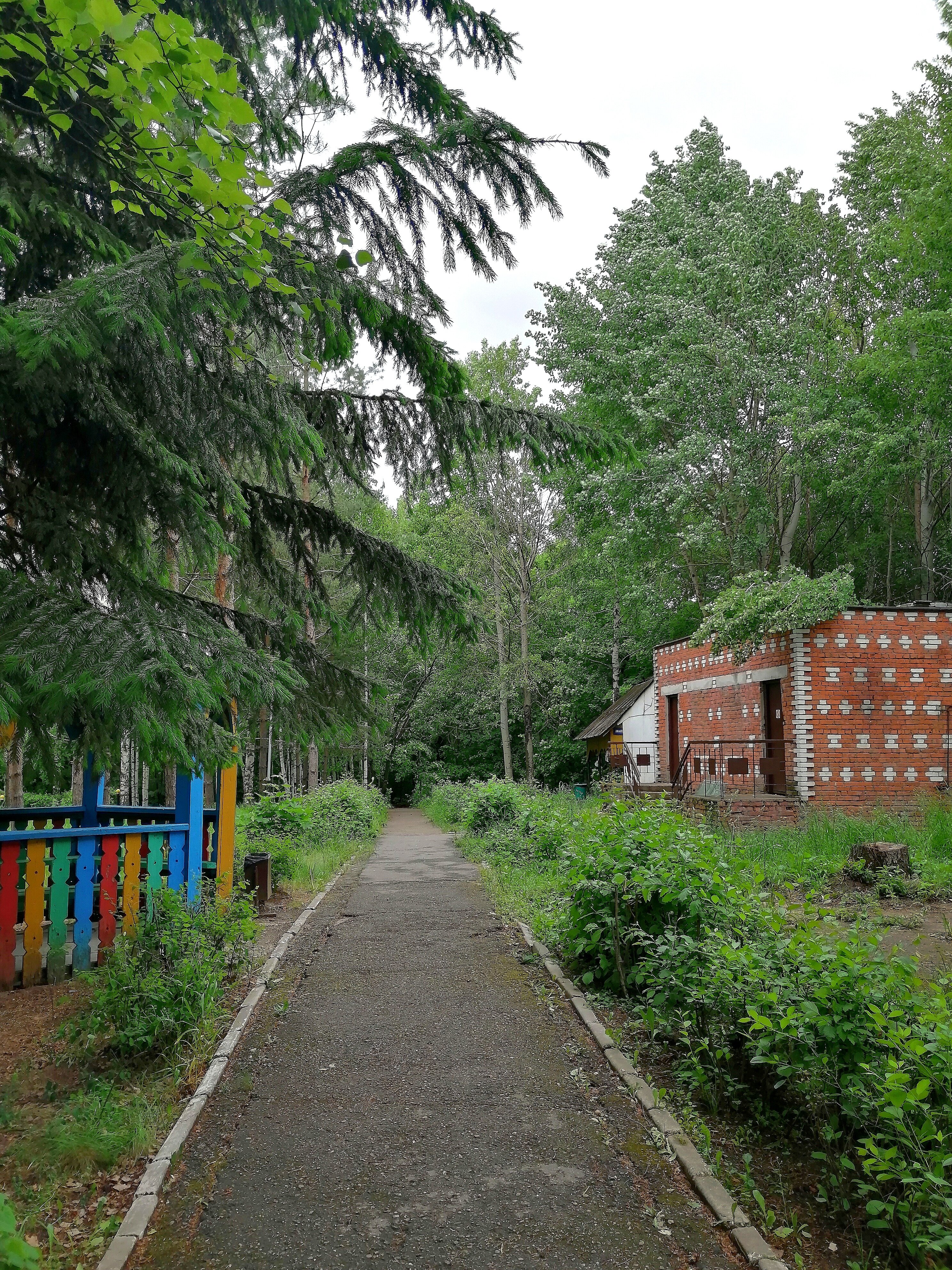 Фото Надежда