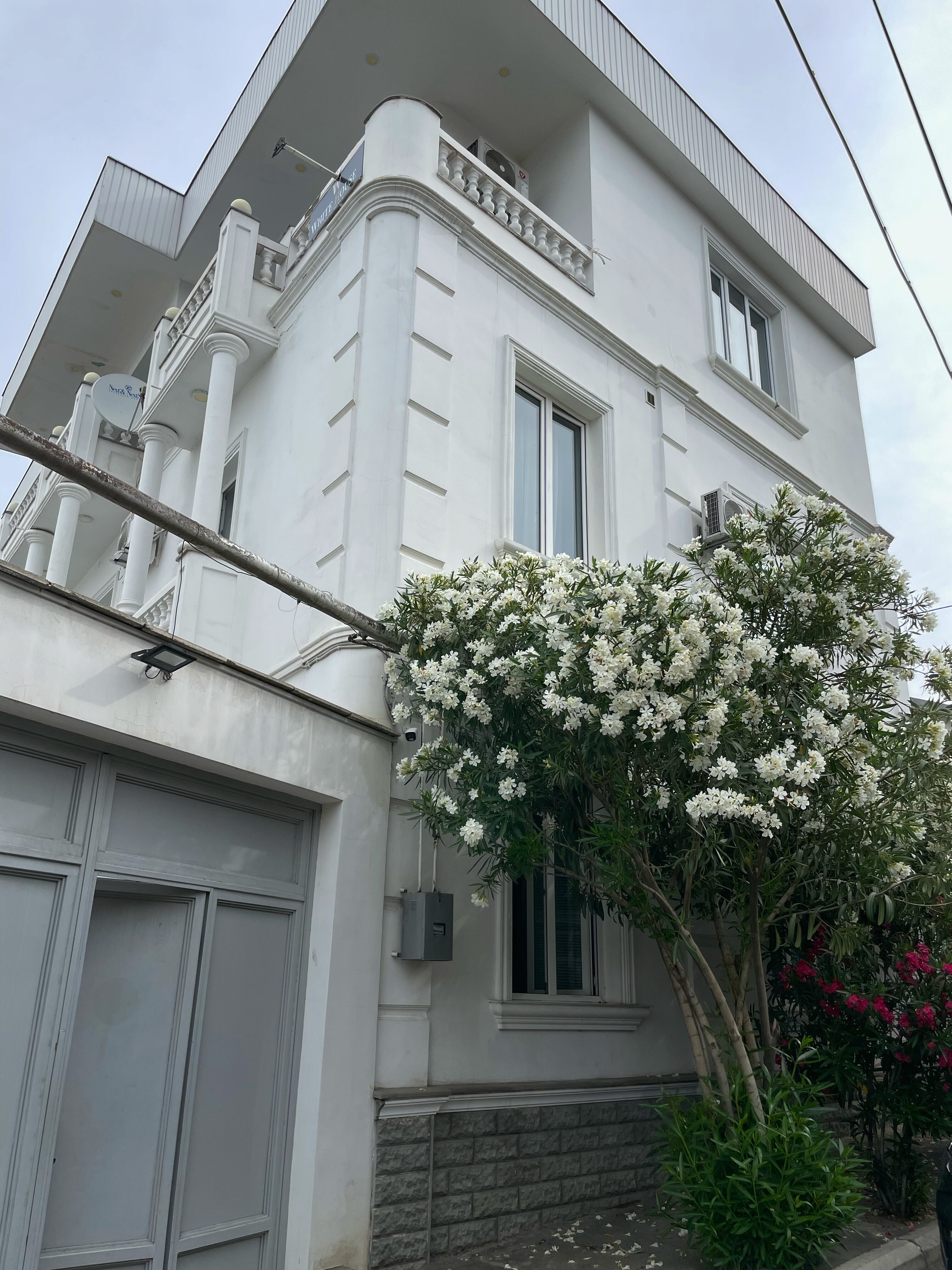 Фото White House