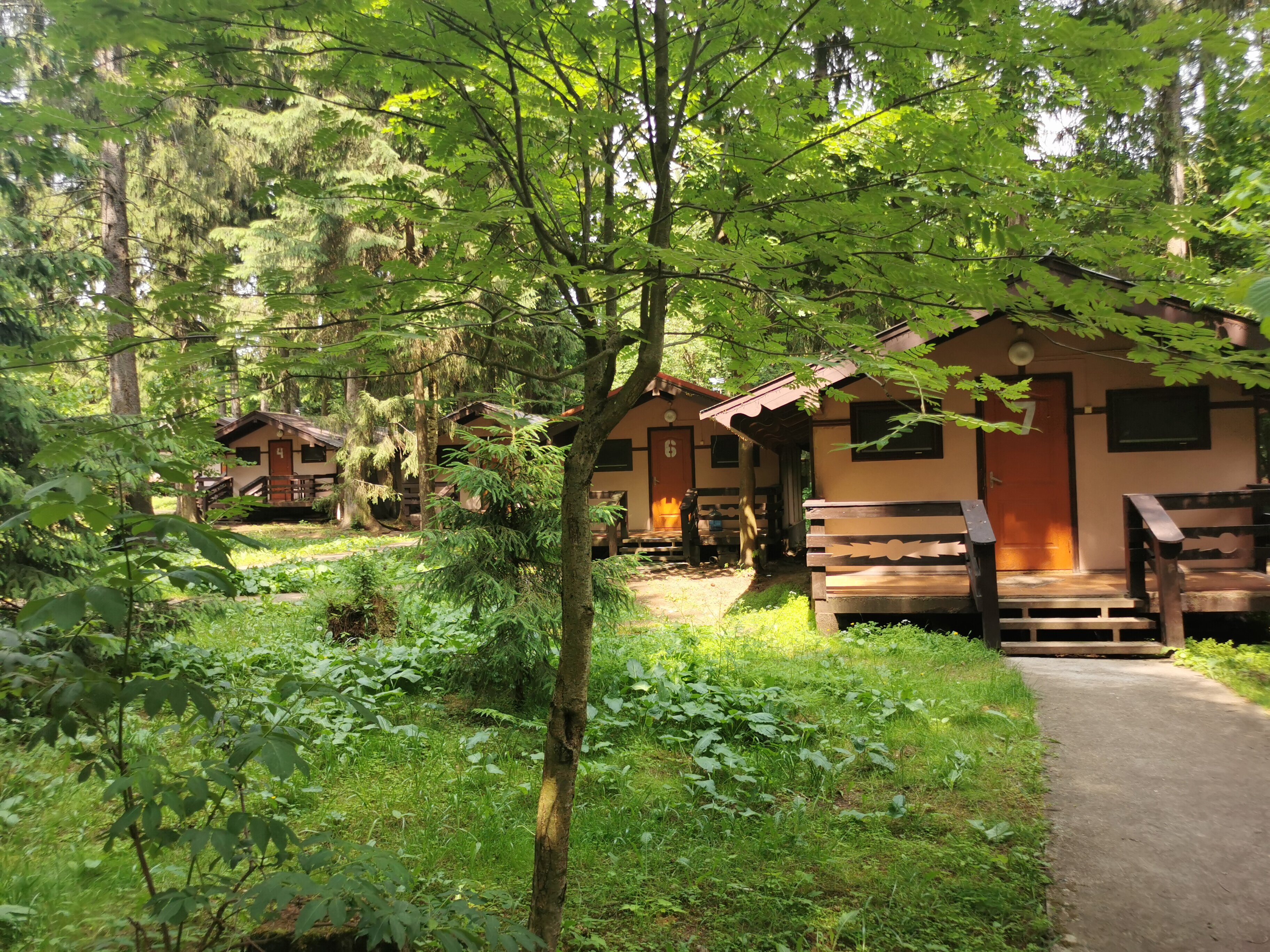 Фото Солонцово