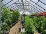 Галерея (Olimpiyskaya Street, 79), greenhouse equipment