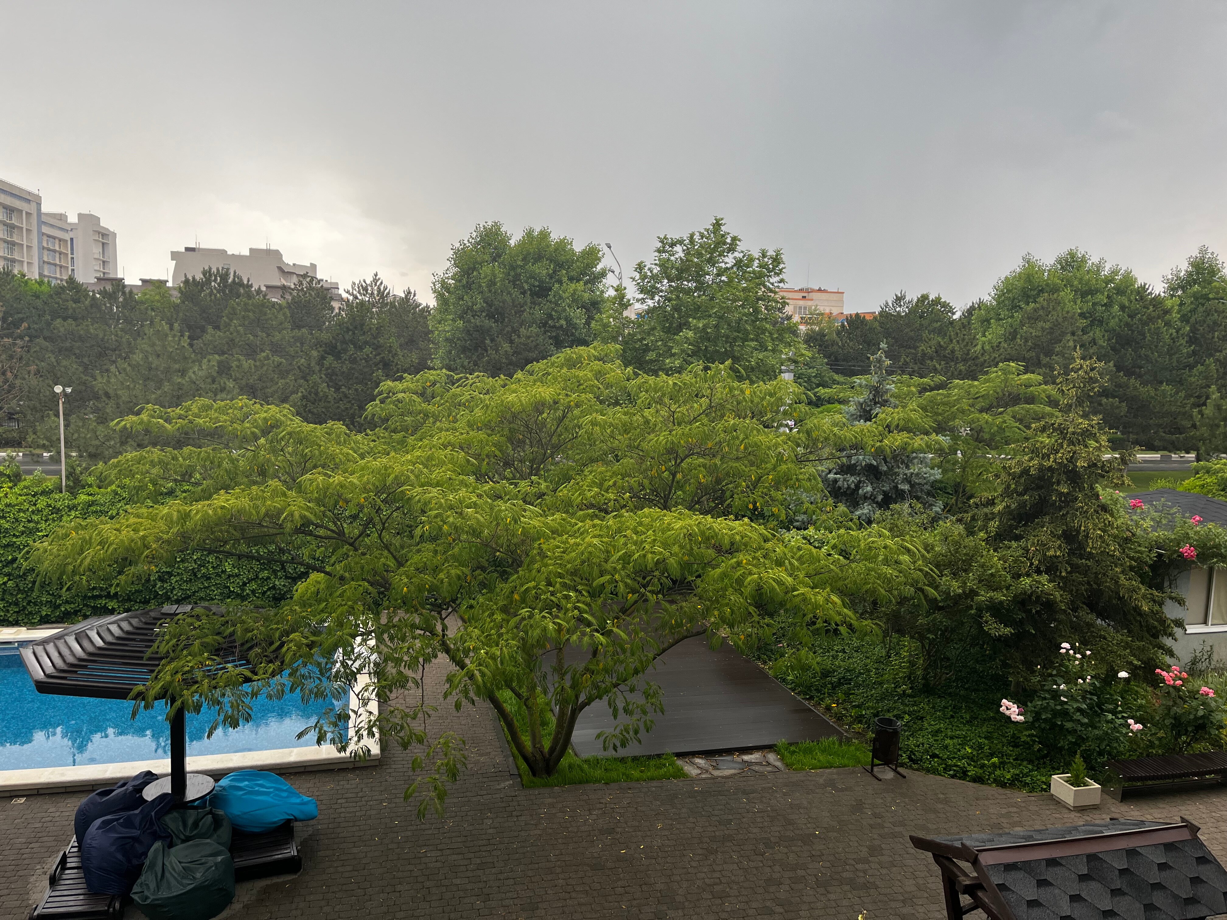 Фото Пансионат Анапа-Лазурная