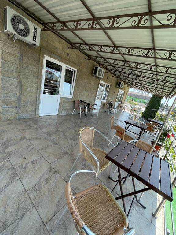 Фото Дельфин