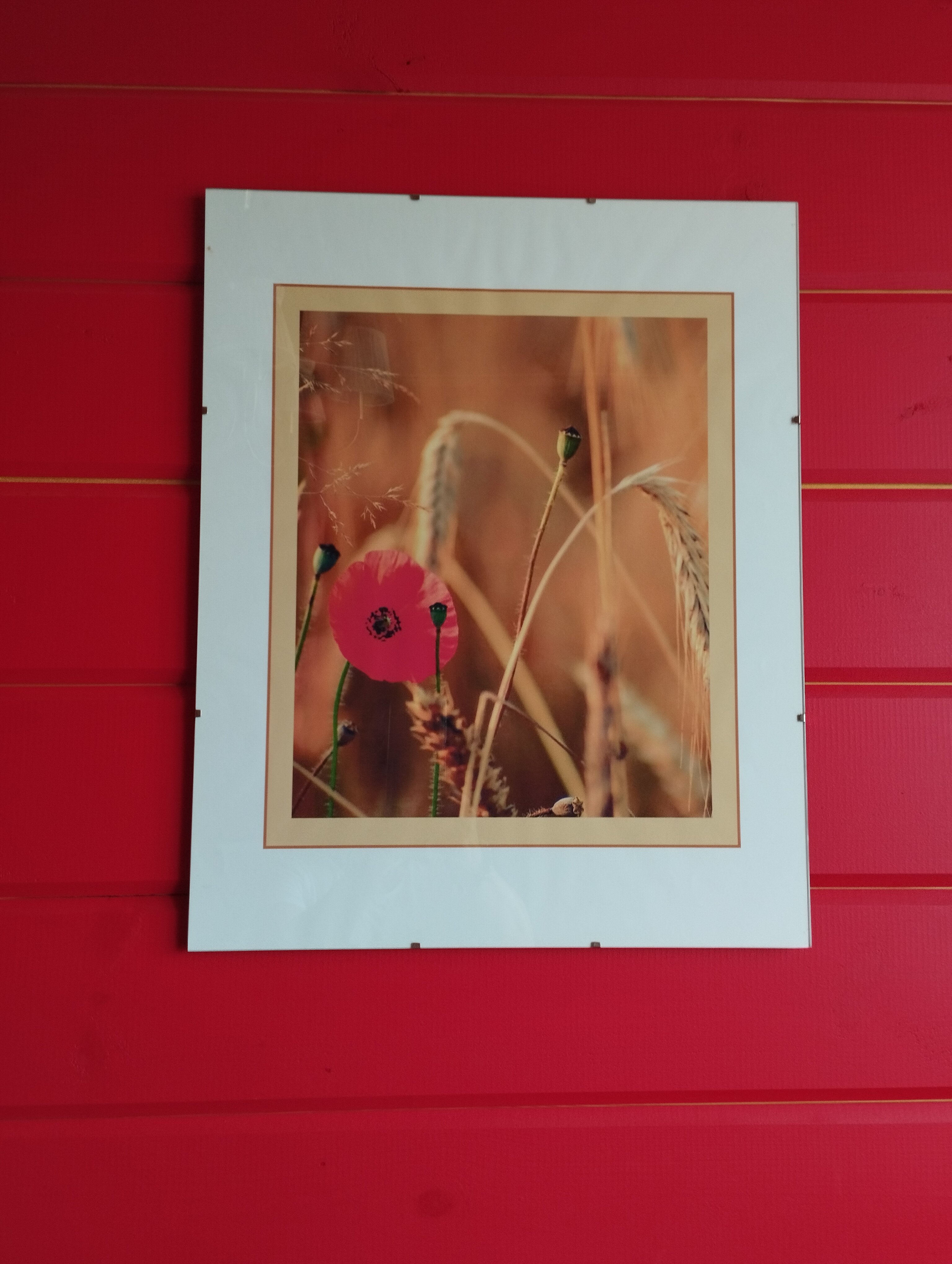 Фото Усадьба Малиновый родник