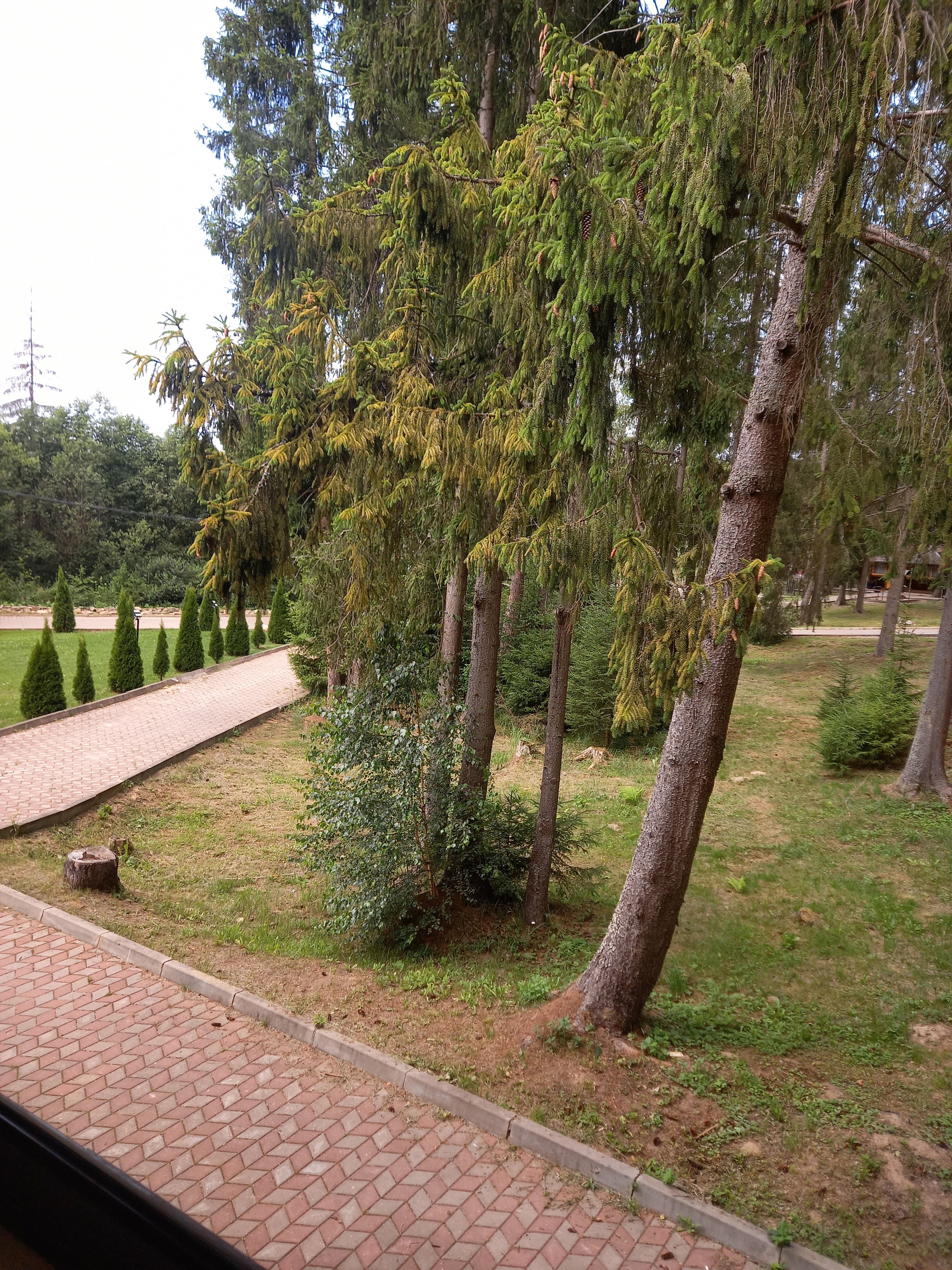 Фото Парк Звёзд