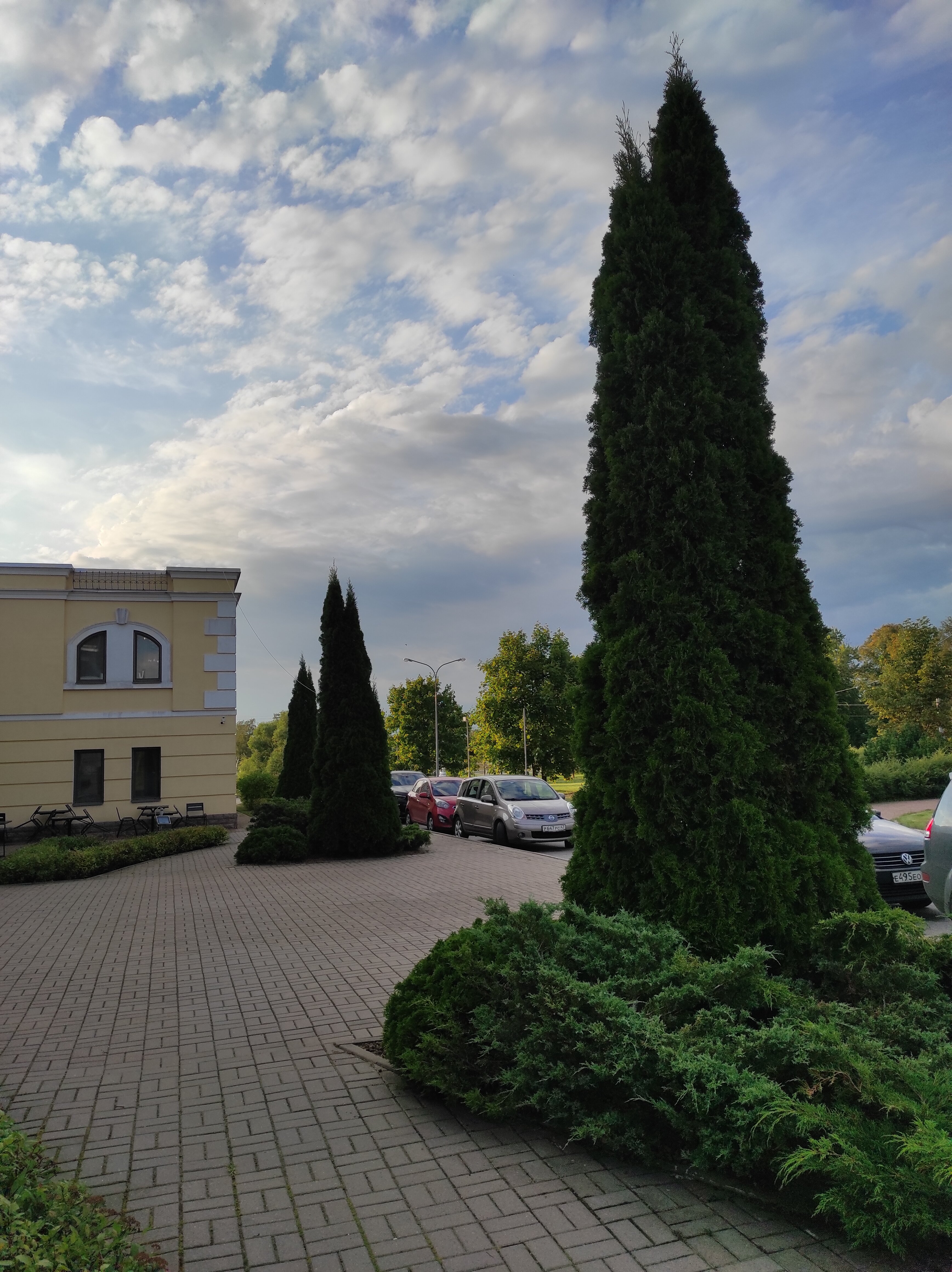 Фото Гранд Петергоф