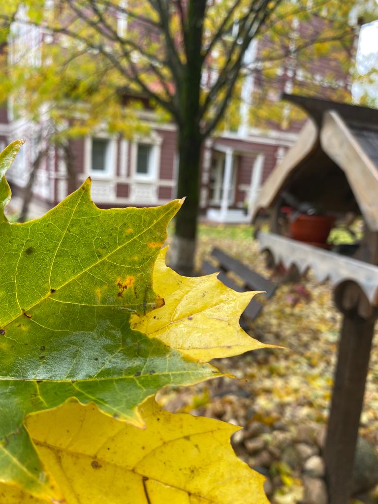 Фото Гостевая изба на Истре