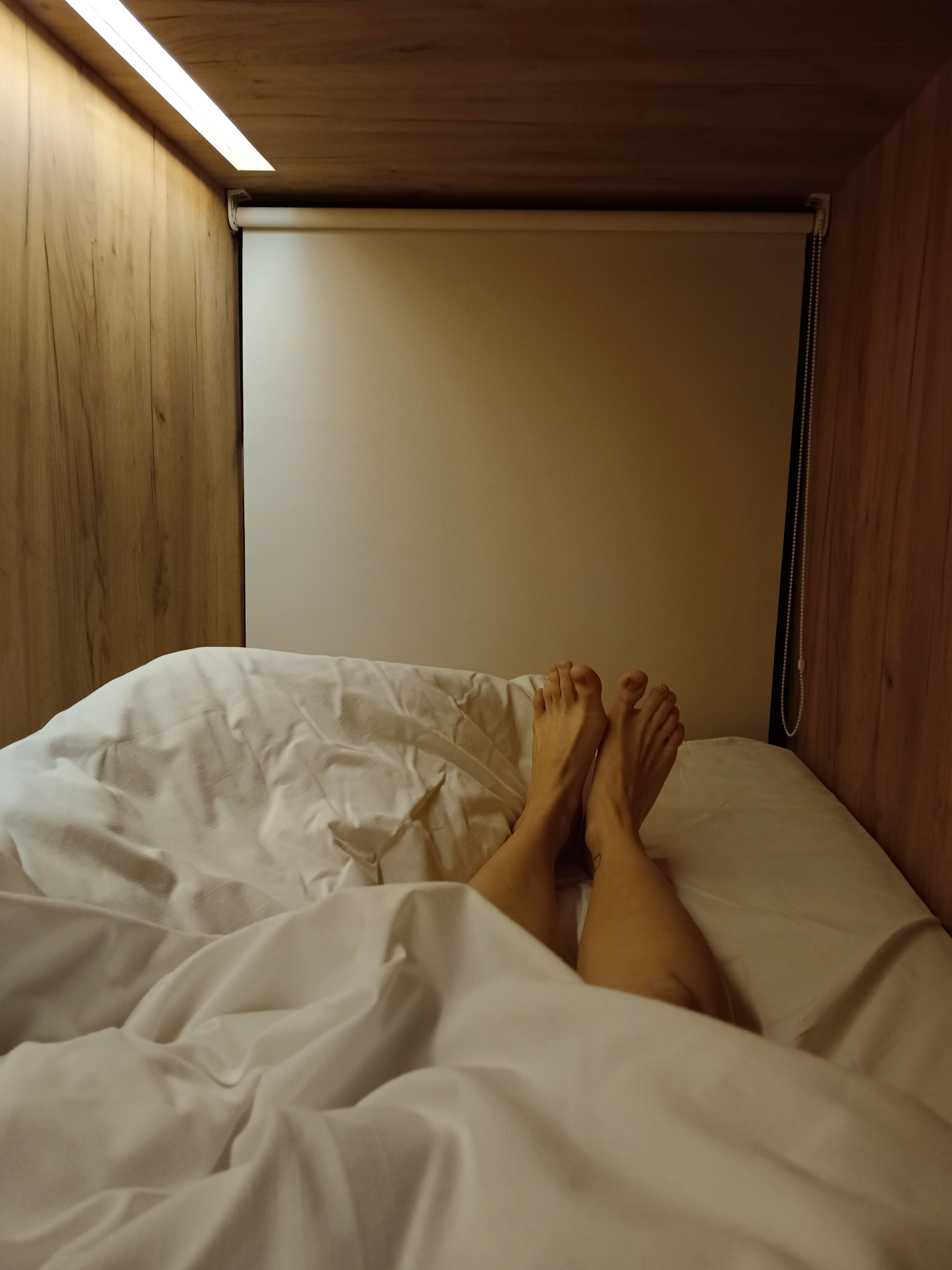 Фото Багратион