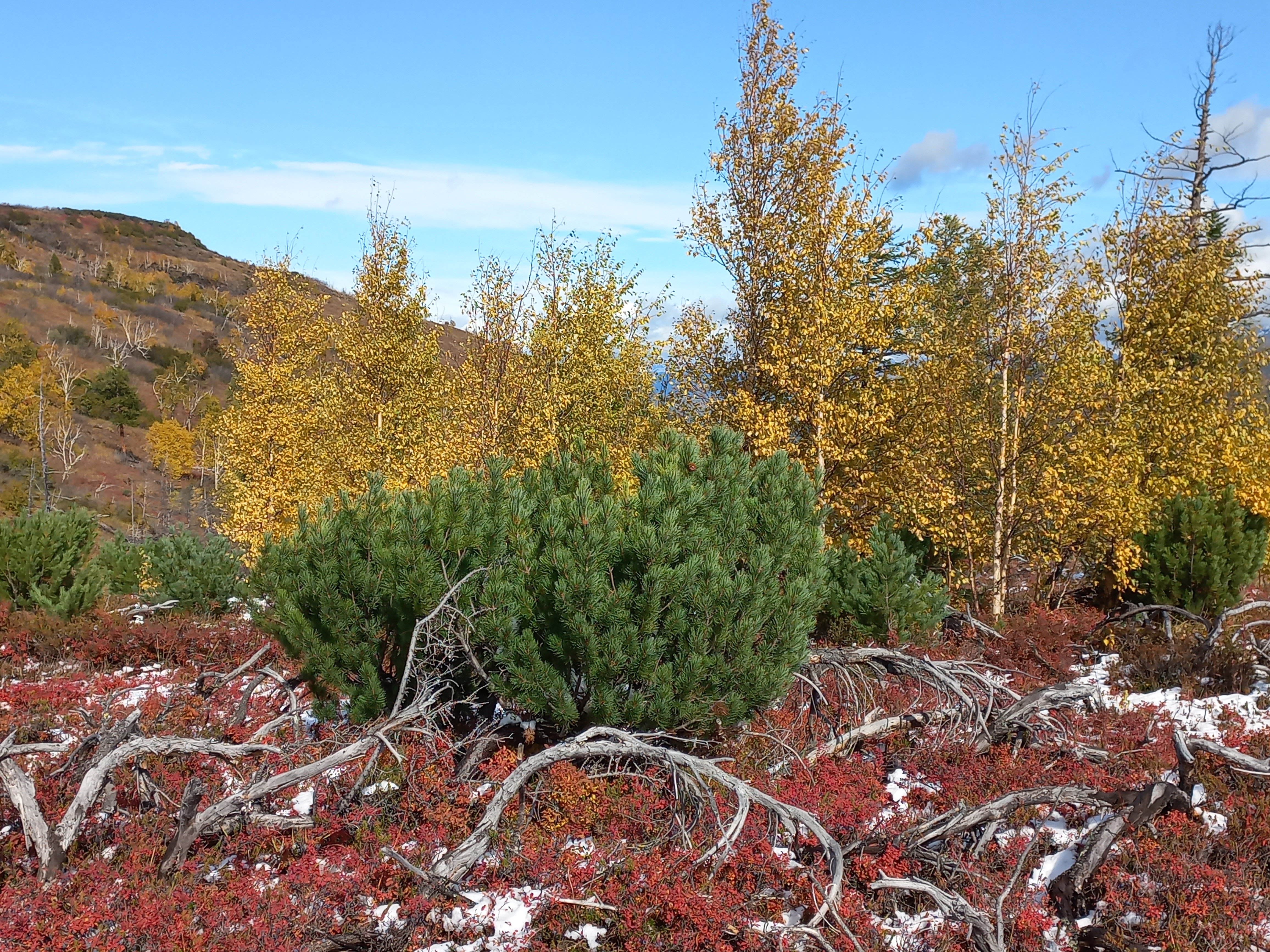 Фото Парамушир тур