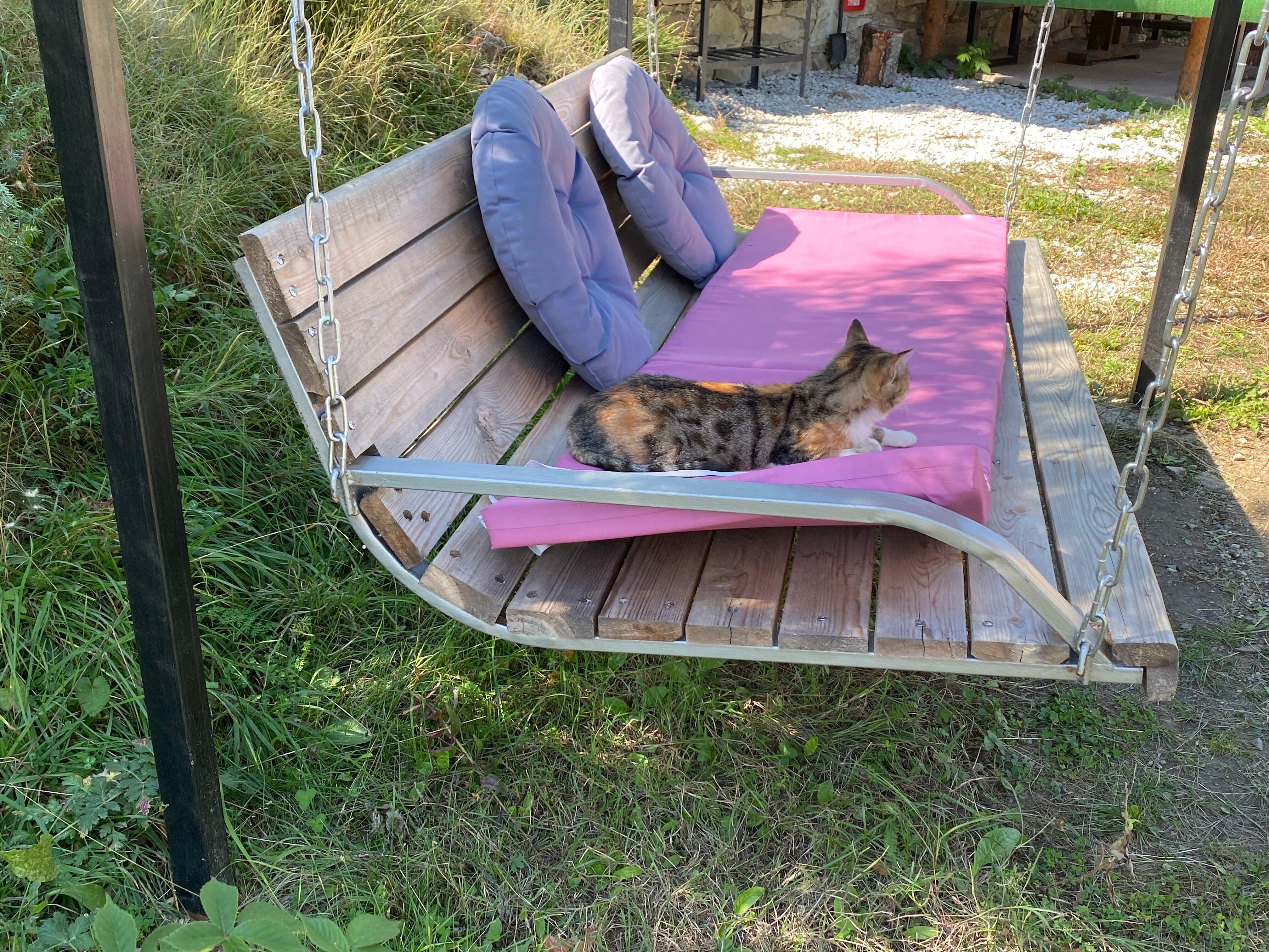 Фото Сиреневый рассвет