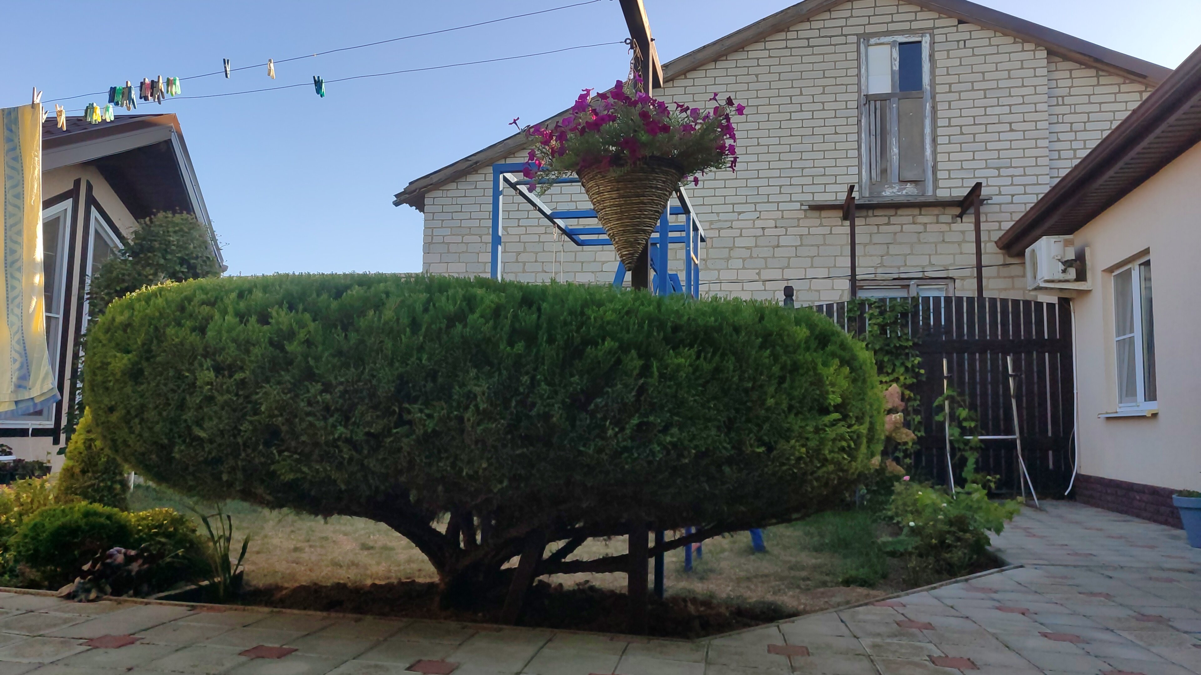 Фото Семейный